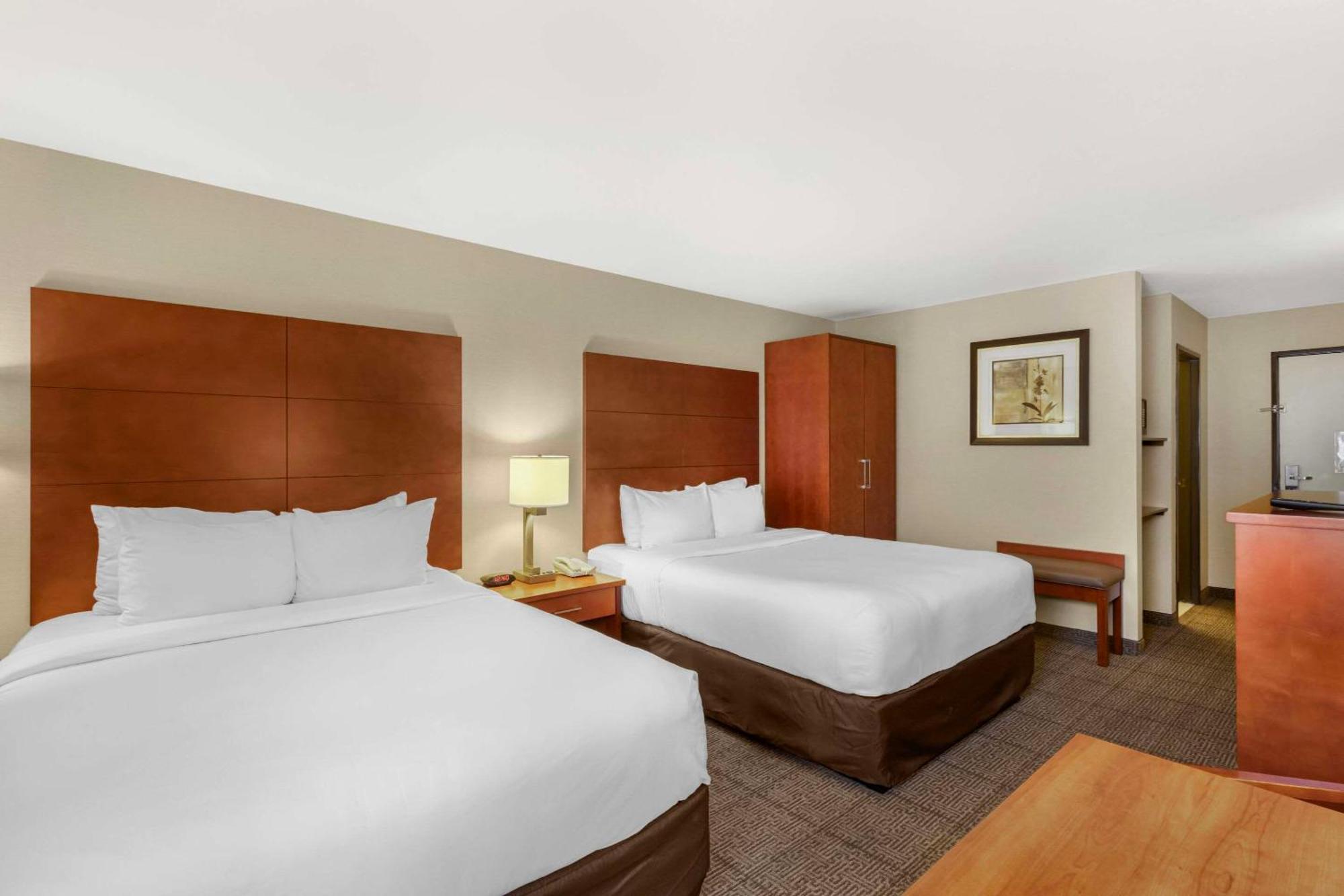 Comfort Inn & Suites Near Fallon Naval Air Station Exteriör bild